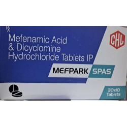MEFPARK SPAS